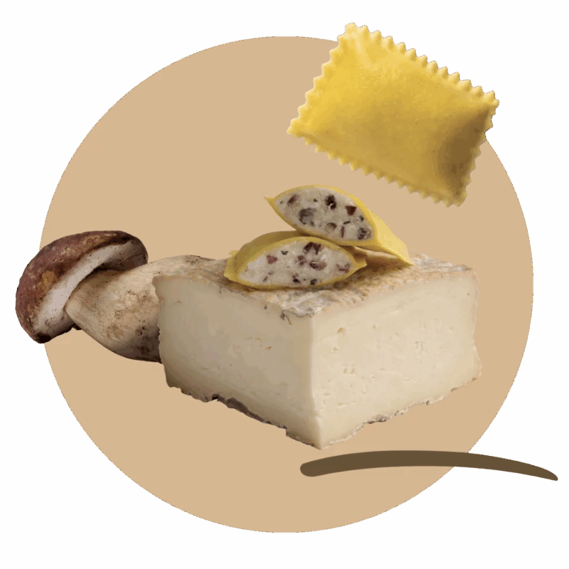 Bauletti® with porcini mushrooms and Taleggio DOP cheese
