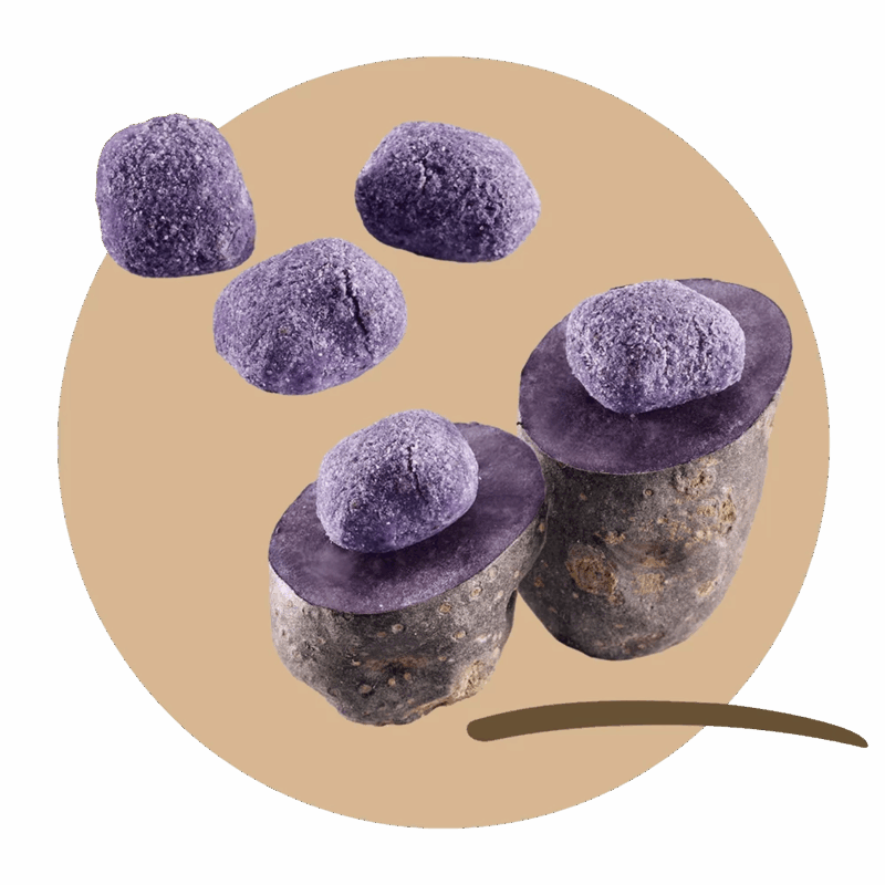 Mammoli of purple potatoes Vitelotte