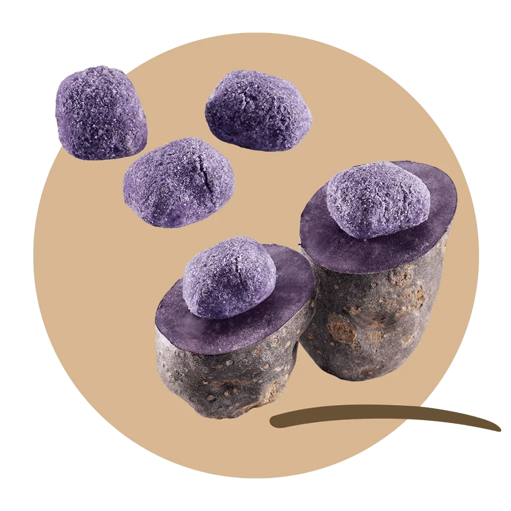 Mammoli of purple potatoes Vitelotte