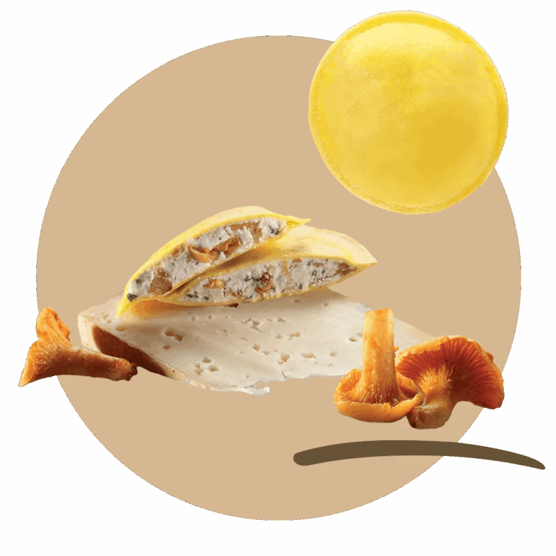 Panciotti® with chanterelle mushrooms and Fontina DOP cheese
